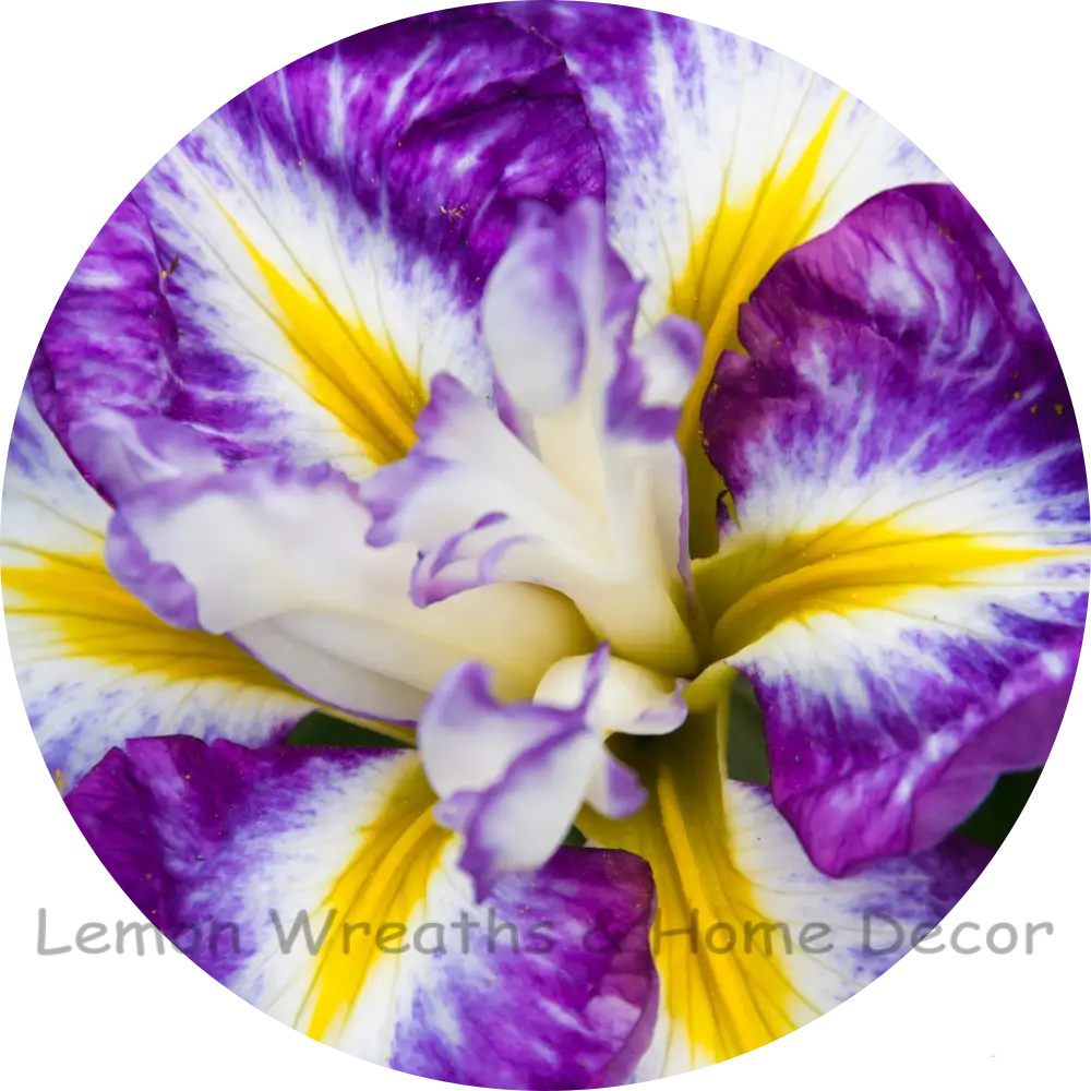 Abstract Purple And Yellow Flower Center Metal Sign 8