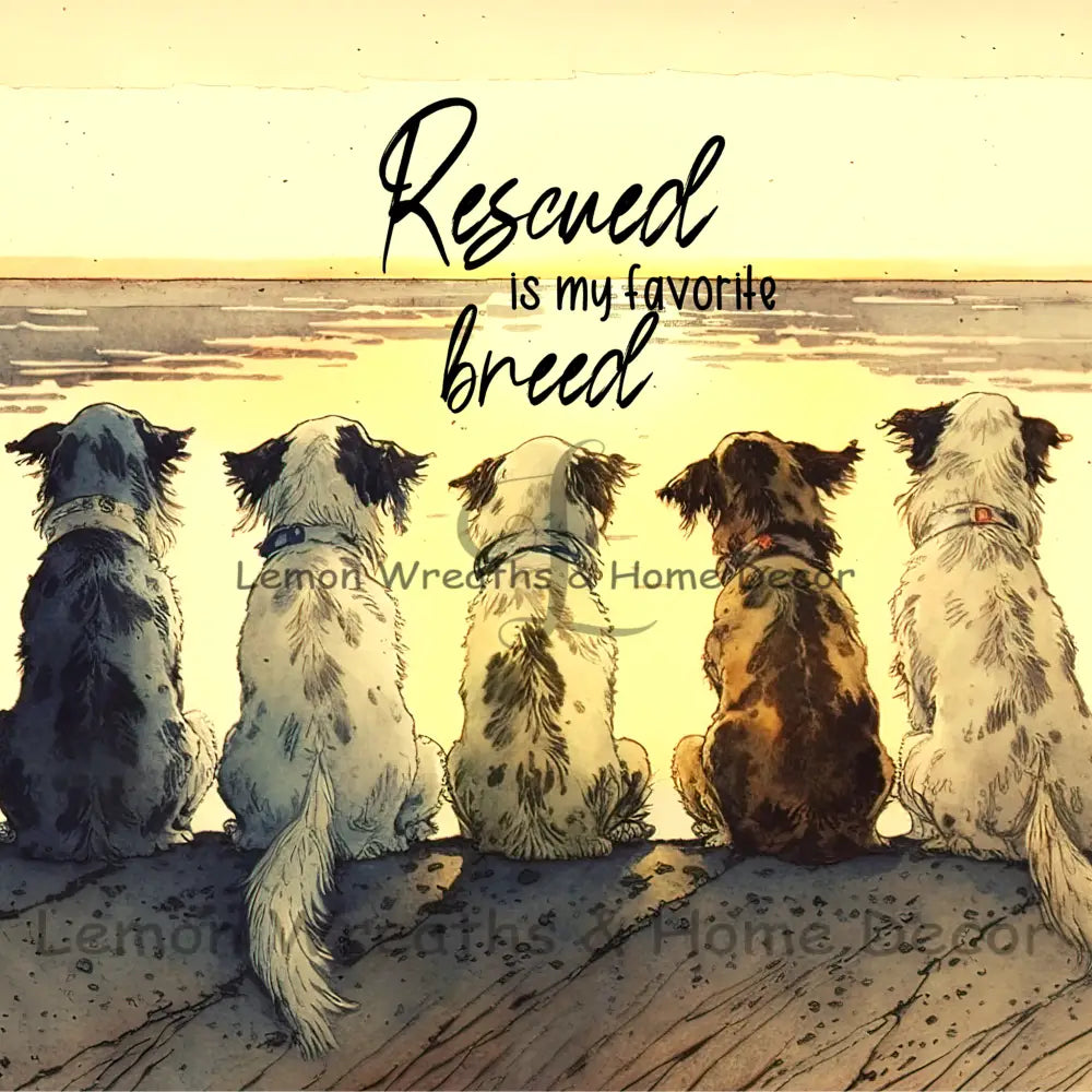Rescued Is My Favorite Breed Metal Sign Square 8