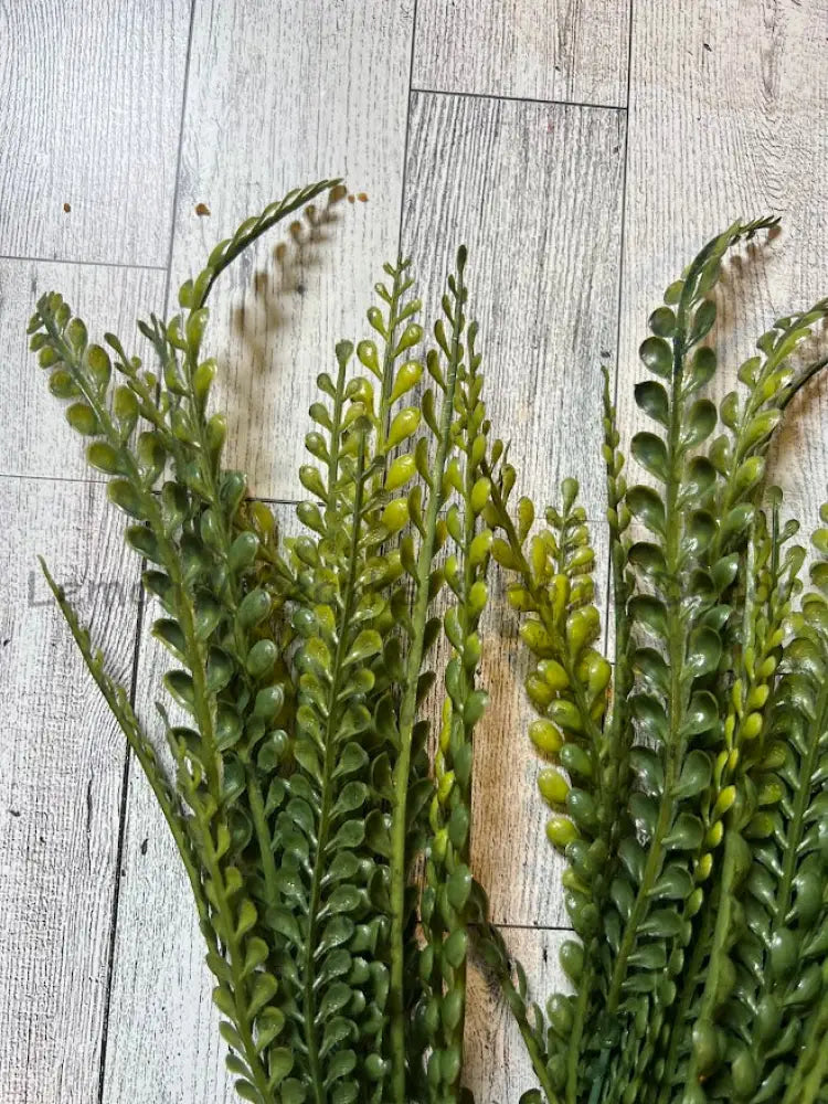 19’’ Plastic Button Fern Bush