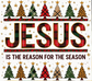 Jesus Is The Reason For The Season 20oz Tumbler