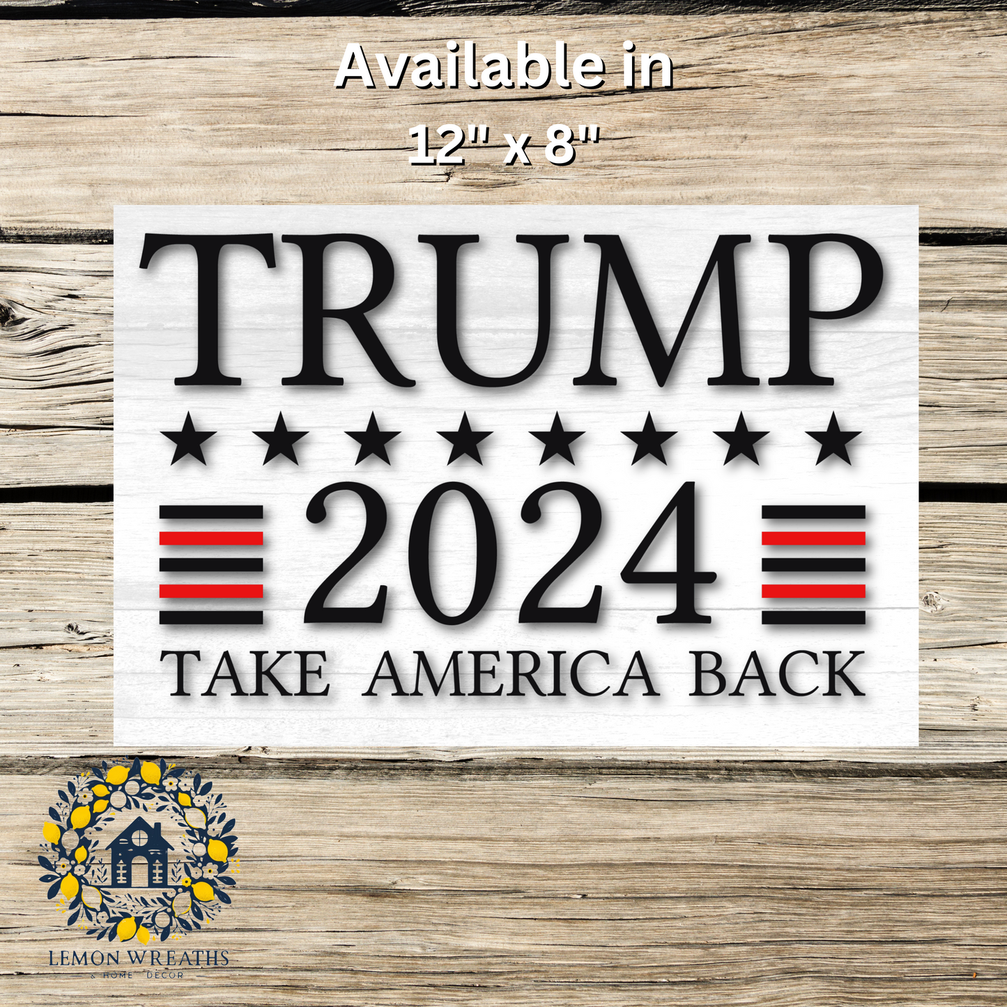 Trump 2024 Take America Back Metal Sign