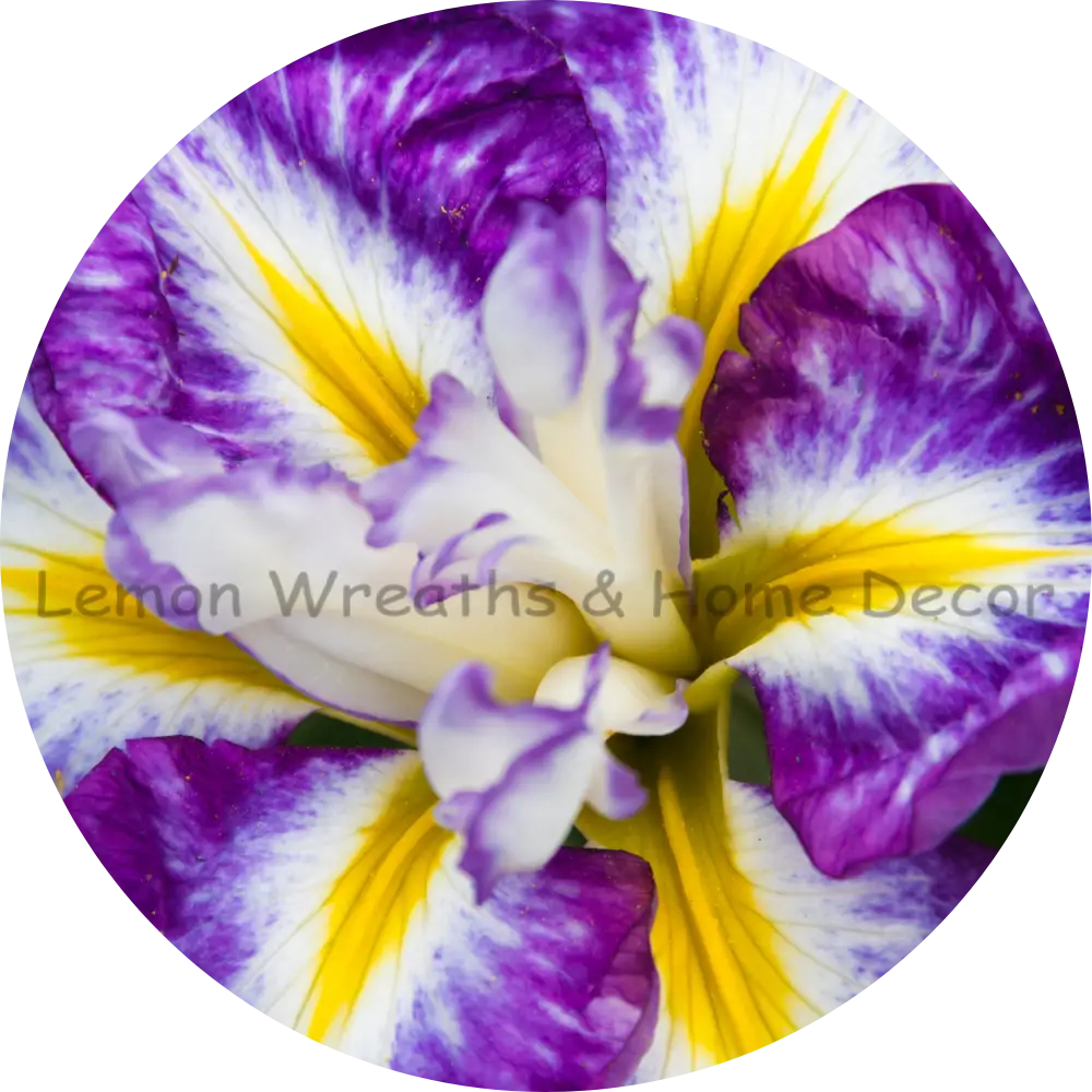 Abstract Purple And Yellow Flower Center Metal Sign 8