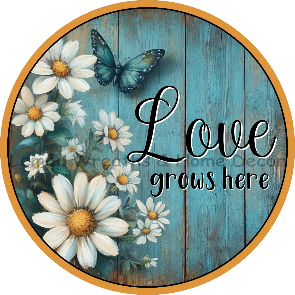 Love Grows Here White Daisies Metal Sign